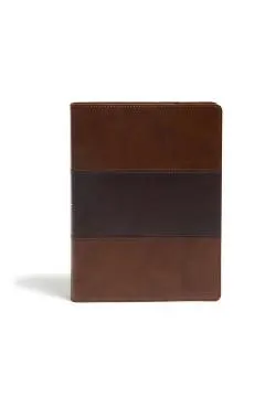 KJV Study Bible, Full-Color, Saddle Brown Leathertouch, Indexed