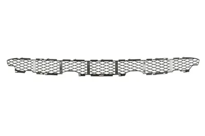 Grila bara Fata Inferior, plastic, negru potrivit BMW X5 E53 04.00-10.06 12.03-12.06