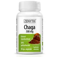 Chaga 500mg Extract Standardizat, 30 capsule vegetale, Zenyth