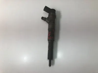 Injector 7790629 BMW Seria 3 (1998-2005) [E46] 2.0d 204d4