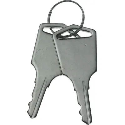Set 2 chei pentru automatizarea Powertech PW200