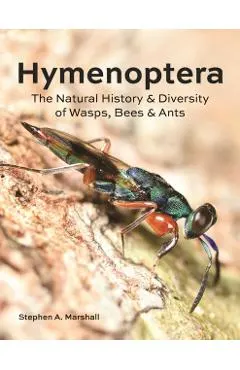 Hymenoptera: The Natural History and Diversity of Wasps, Bees and Ants