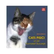 Pisici din Bucuresti