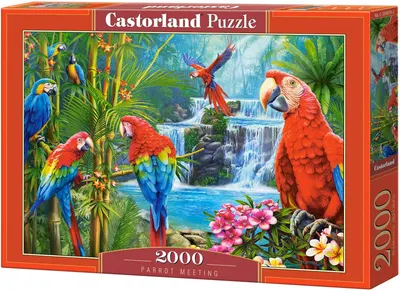 Puzzle Castorland din 2000 de piese - Întâlnire papagală