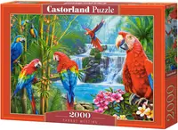Puzzle Castorland din 2000 de piese - Întâlnire papagală