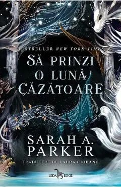eBook Sa prinzi o luna cazatoare