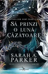 eBook Sa prinzi o luna cazatoare