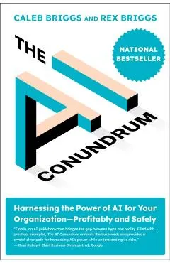 The AI Conundrum: Harnessing the Power of AI for Your Organization--Profitably and Safely