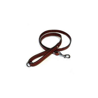 Lesa din piele, maro, pentru caini de talie medie si mare, latime 20 mm, lungime 1.2 m