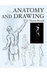 Anatomy and Drawing