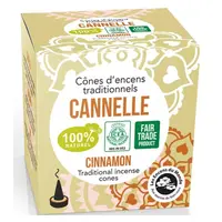 Conuri parfumate scortisoara 12 buc Aromandise