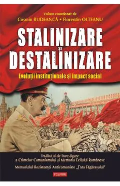 eBook Stalinizare si destalinizare. Evolutii institutionale si impact social