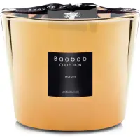 Baobab Collection Les Exclusives Aurum lumânare parfumată 500 g