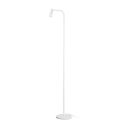 Lampa pla, Karpo pla lampi, alb