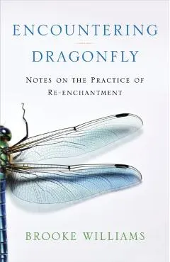 Encountering Dragonfly: Notes on the Practice of Re-Enchantment