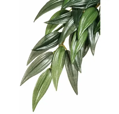 Exo Terra Planta Ruscus Small 35 Cm Pt3031