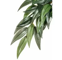 Exo Terra Planta Ruscus Small 35 Cm Pt3031