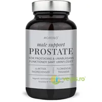 Male Support Prostate 120cps