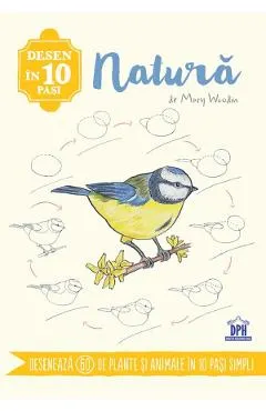 Desen in 10 pasi: Natura