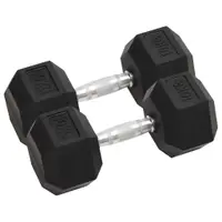 vidaXL Gantere, 2 buc., 10 kg, total fontă