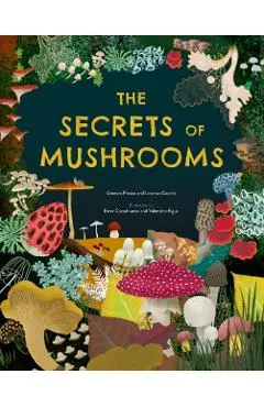 Secrets of Mushrooms