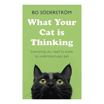 What Your Cat Is Thinking