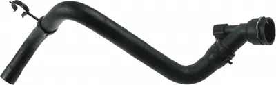 Furtun radiator inferior (31mm 31mm) potrivit AUDI A3; SEAT LEON, TOLEDO II; SKODA OCTAVIA I; VW BORA, BORA I, GOLF IV 1.4 1.6 1.9D 09.96-06.06