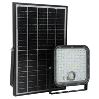 Solar Led Spotlight With Sensor 10w Ip65