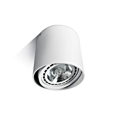 Tano ceiling luminaire 75W GU10 R111 100-240V IP20 alb