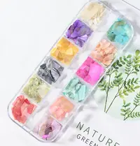 Set Fulgi Decorativi Pastel Soft Shell Flakes
