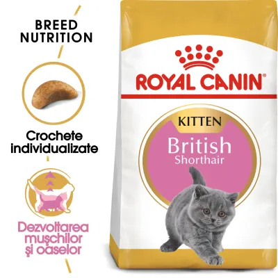 ROYAL CANIN British Shorthair Kitten, hrană uscată pisici junior, 400g