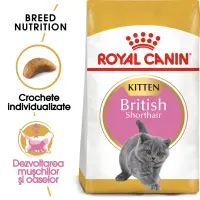 ROYAL CANIN British Shorthair Kitten, hrană uscată pisici junior, 400g