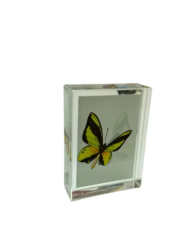 Cristal FLUTURE cu 2 fete (inaltime 7.5 cm, latime 5.5 cm, grosime 2 cm)
