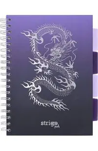 Caiet matematica cu spirala si separatoare: Dragon