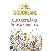 Ulita copilariei. In casa bunicilor