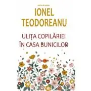 Ulita copilariei. In casa bunicilor