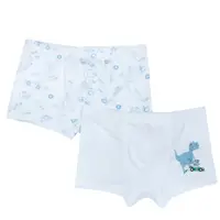 Boxeri copii Chicco, set 2 bucati, alb cu model, 11572