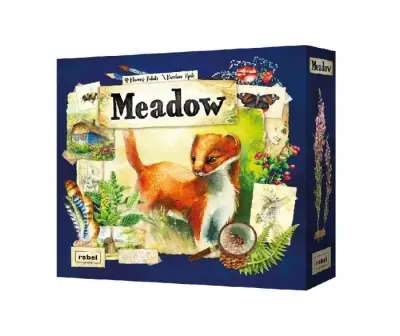 Meadow (RO)
