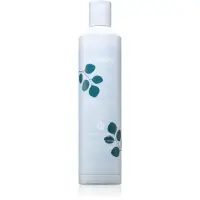 Echosline Frequent Shampoo Sampon de curatare zi de zi. 300 ml