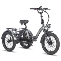 Tricicletă electrică Fafrees F20 Mate, baterie de 48 V 20 Ah, frâne hidraulice