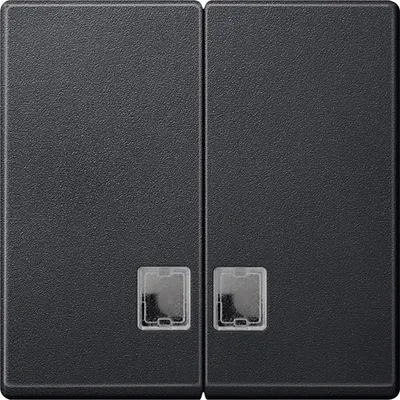 Clapeta 2-Porturi Cu Fereastra Rectangulara Clara Indicator, Antracit, Sistem M