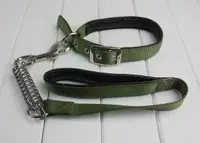 Pet Expert Zgarda/Lesa Verde 25/75