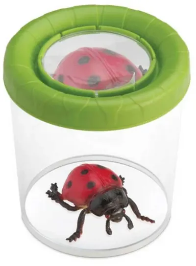 Recipient de observare a insectelor Navir - Cu lupă, asortiment