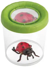 Recipient de observare a insectelor Navir - Cu lupă, asortiment