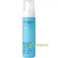 Spuma de Par pentru Fixare cu Aloe Vera 200ml
