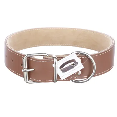Zgarda din piele, maro, 4 cm x 65 cm, pentru caini de talie medie spre mare