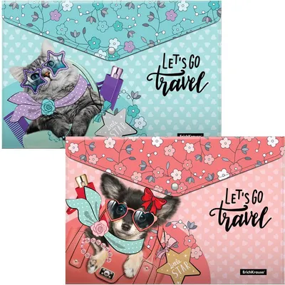 Set mape cu buton Erich Krause - Mini Travel, A4, 4 buc.