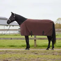 vidaXL Pătură pentru cai Maro Întunecat Complet 95 cm