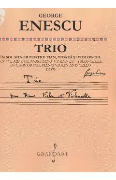 Trio in sol minor pentru pian, vioara si violoncel (1897)