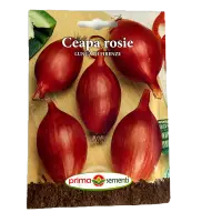 Seminte ceapa rosie Lunga Di Firenze 1,5 gr, Prima Sementi - Default Title